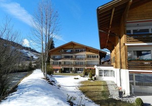 Apartment ∙ 1 bedroom ∙ 2 guests in Gstaad