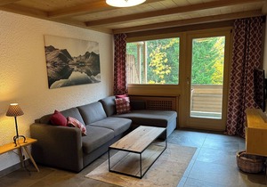 Dream apartment "WILDBACH" in the enchanting Hinterthal am Hochkönig in Hinterthal
