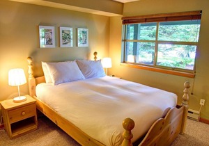 Forest Trails, 2.5 bedroom family home, walk to lift, free wifi in Whistler