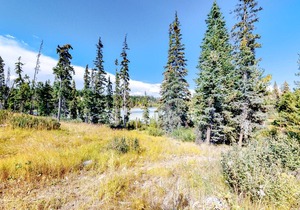 Lac Le Jeune #17 in Logan Lake