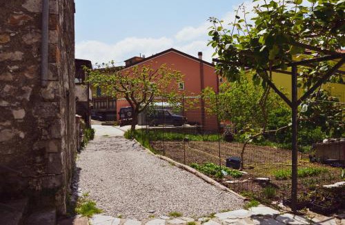 Arzeno House | Casa Wendy