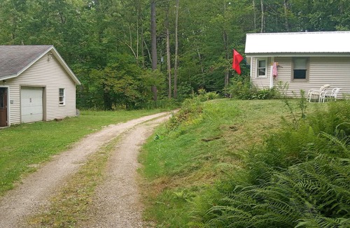 Forest Dale House | Charming 2-bedroom house with AC, WiFi in the middle of paradise.