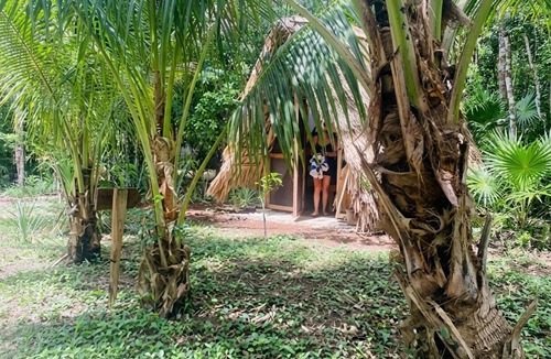Corozal House | Coco Hause