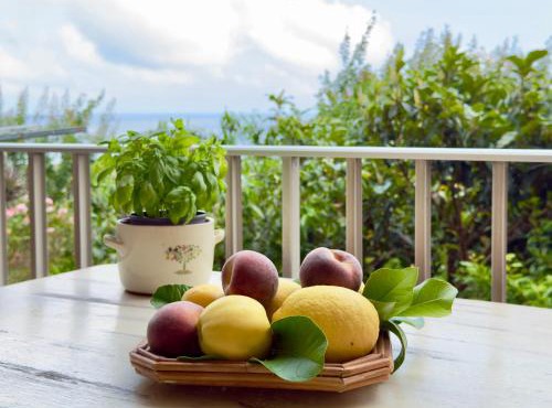 550 mt dal mare - Balcone e Vista Mozzafiato in Savona