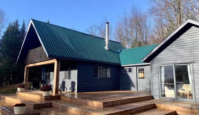 Algonquin Manitou Cottage & Lost Dog in Kawawaymog Lake