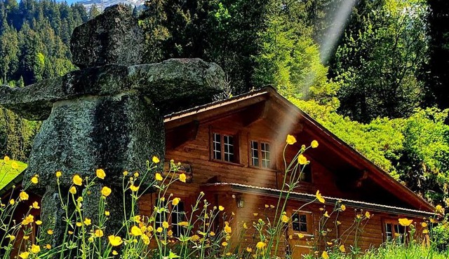 Alpenlodge in Willigen