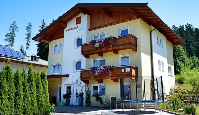 Apartment/2 bedrooms/shower, WC and balcony - Landhaus Schweiger in Söll
