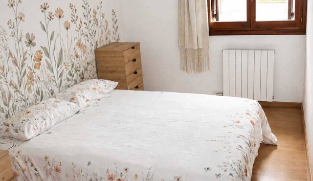Apartment in the heart of the Pyrenees in Biescas