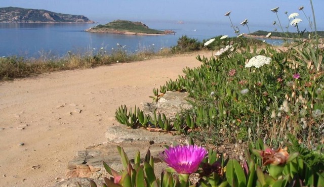 Asfoldelia: holiday, sea and relax in elegant apartment in San Teodoro