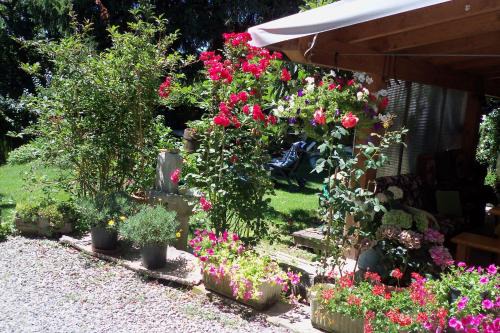 Borgoeden in Borgo Val di Taro