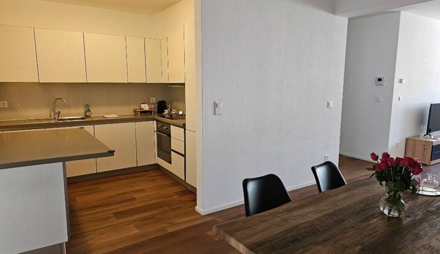 CASA NOSTRA Lugano - Suite 1 in Paradiso