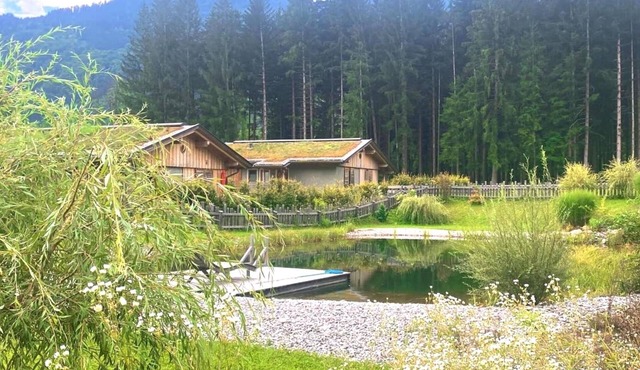 Chalet with sauna for a nature vacation in Hermagor-Pressegger See