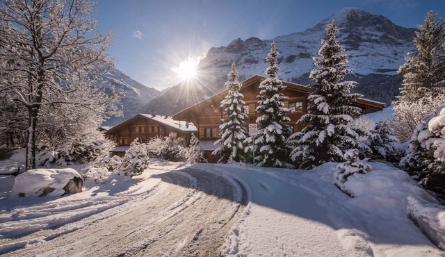 ❤️Chalet Dolphin. new ❤️ in Grindelwald