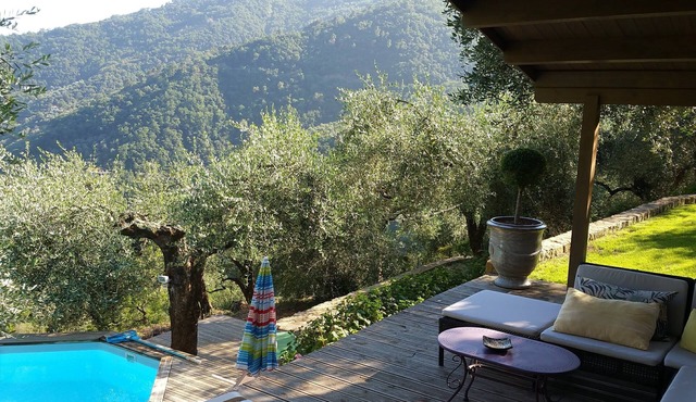 Comfortable wooden tiny house with private pool in an olive grove. in DOLCEACQUA IM