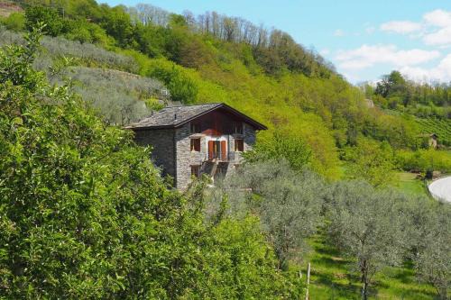 fantastica villa fra le Alpi valtellinesi in Tresivio