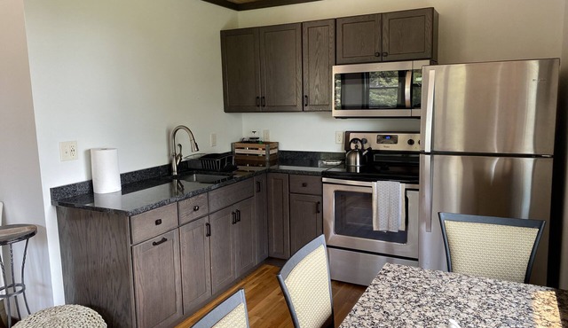 French River Gooseberry Trailside 4-Plex Suites - Pets - Sauna - Lake View - Fun in Two Harbors