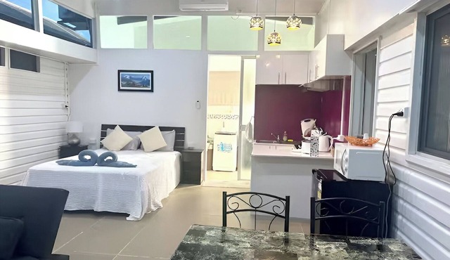Fully Furnished Modern Unit Great Location Labasa in Saivou