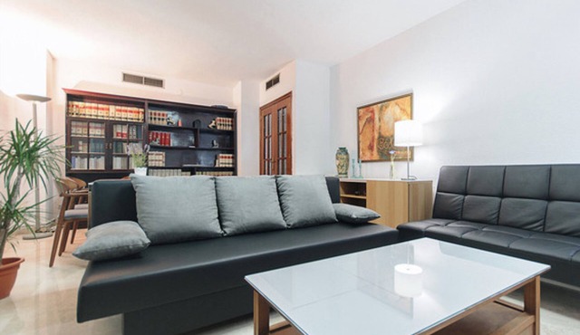 GRANADA CENTER COMFORTABLE + PARKING + 2 BA + 3 BR in Granada
