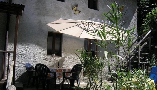 Holiday wall fox in Cevio