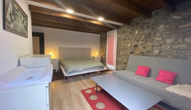 House with a different style for families and groups in Biescas