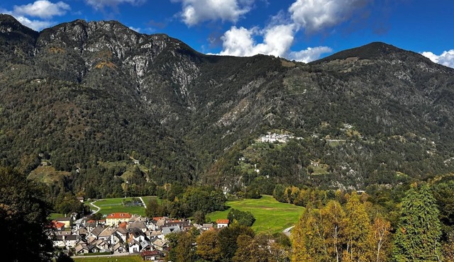 In a forest reserve in the Swiss mountains and near Lake Locarno in Palagnedra