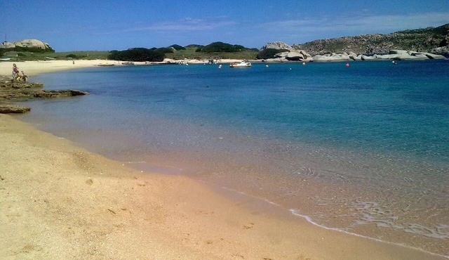LA PAVONCELLA . ELEGANT THREE-ROOM in Santa Teresa Gallura