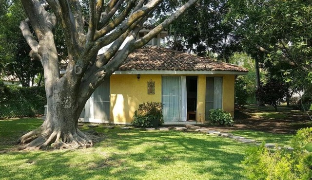 Las Palmas in Tezoyuca