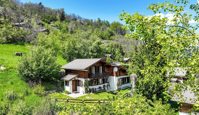 Le Raccard by Interhome in Nendaz