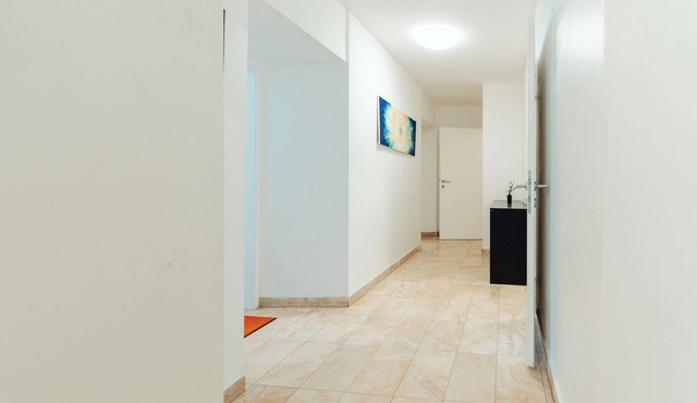 Lilians modern apartment in historical Citycenter in Graz