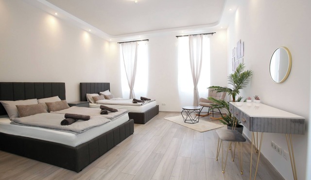LUX Prime Suite Vienna with FREE parking and FAST Internet 600 MBits in Vienna