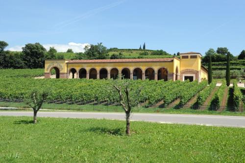 Monte Tondo Winery in Soave