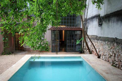 Oasis with natural pool in the heart of Mérida in Mérida