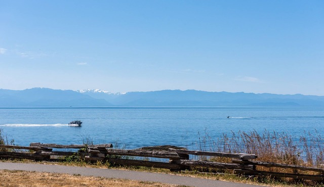 Oceanside Getaway close to downtown *PET FRIENDLY* in Victoria