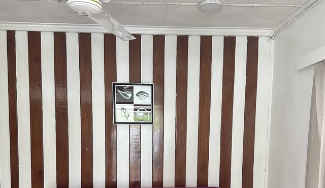 Perfectly located holiday home for a big family in Labasa
