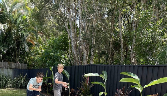 Pet-friendly and Beachside in Mudjimba in Mudjimba