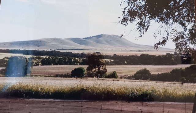 PRIVATE, REMOTE, SECLUDED COUNTRY HOMESTEAD PETS WELCOME! - BOOLEROO CENTRE in booleroo centre