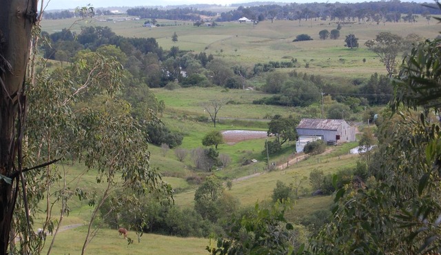 Romantic Bush Setting, Private Studio Cottage, Amazing View in Rosebrook