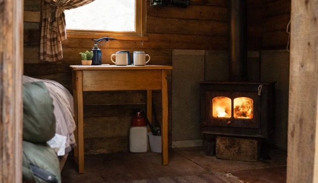 Spruce, the tiny cabin in the woods in Markdale