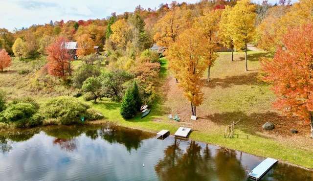 Stunning Lake Front! Modern+Chic+Cosy pet friendly in Eden