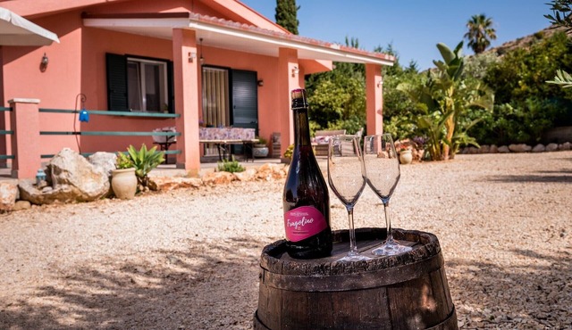 Villa Agapanthus- (Flower of Love)three sea and countryside in CASTELLAMMARE DEL GOLFO