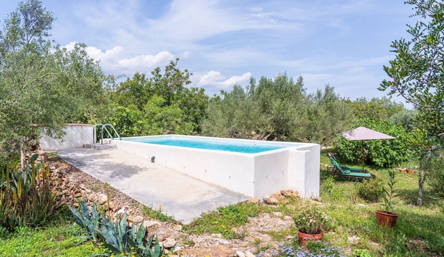 Villa "Casa en Olivera" 3km from the coast with private pool and Wi-Fi in El Perelló