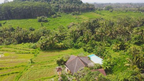 Villa Dandan Bukit in Gianyar