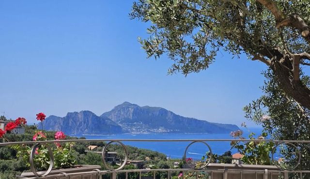 Villa Luci di Capri, Sorrento Coast - New Jacuzzi® Spa, Solar Shower & Lift in Massa Lubrense