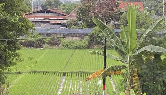 VILLA MIKE PENTHOUSE in Jogja