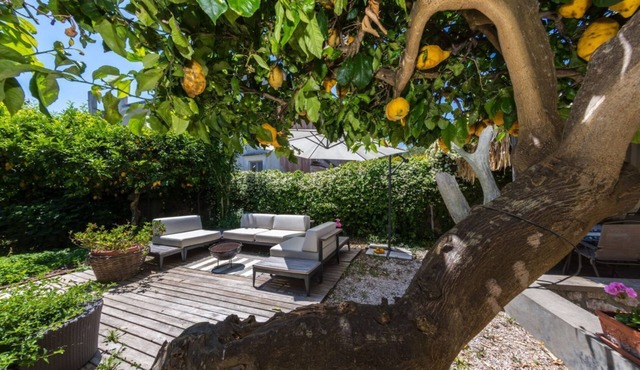 Villa Ninfea - Capri Garden Retreat in Capri