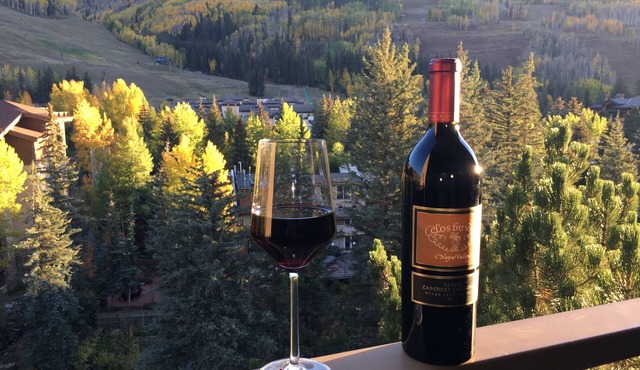 Walk to Vail Village Restaurants, Shops & Lifts - Epic Views, Top Rated Condo! in Vail