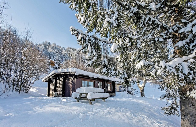 Chalet Ski 