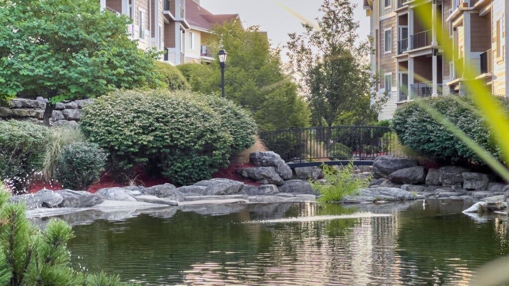 Photo of Outdoor in Table Rock