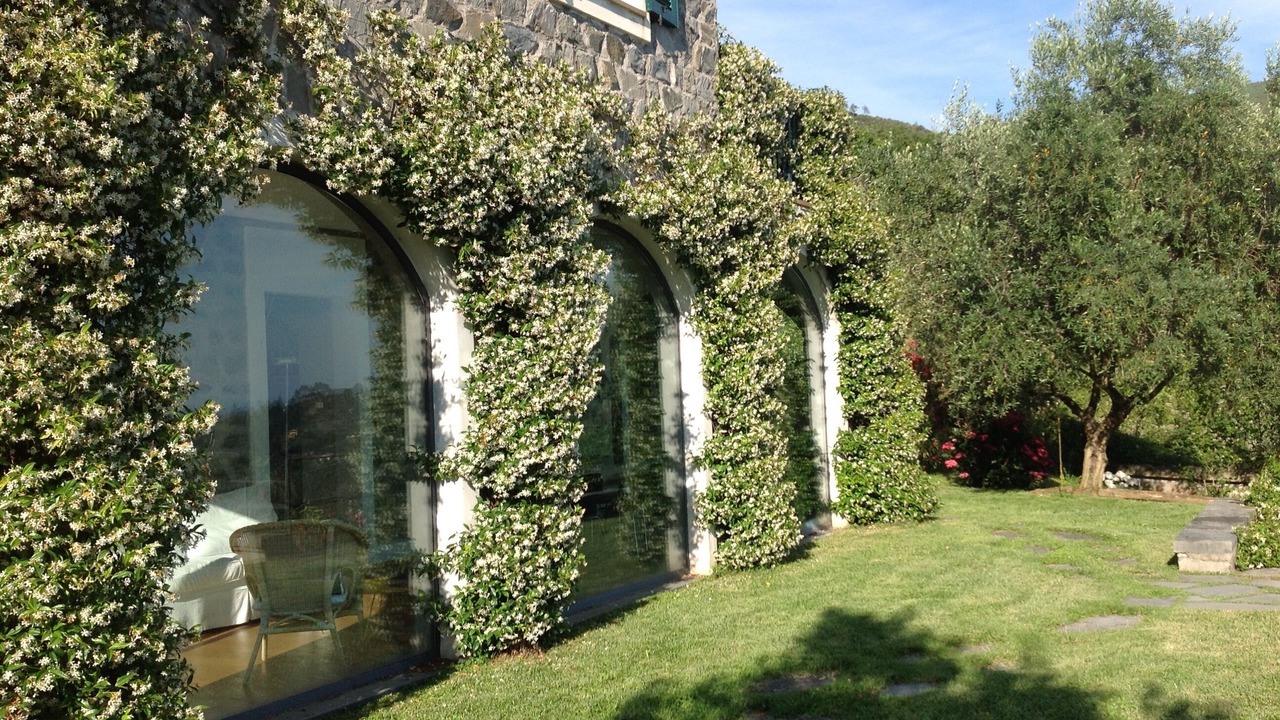 Photo of Outdoor in Bonassola