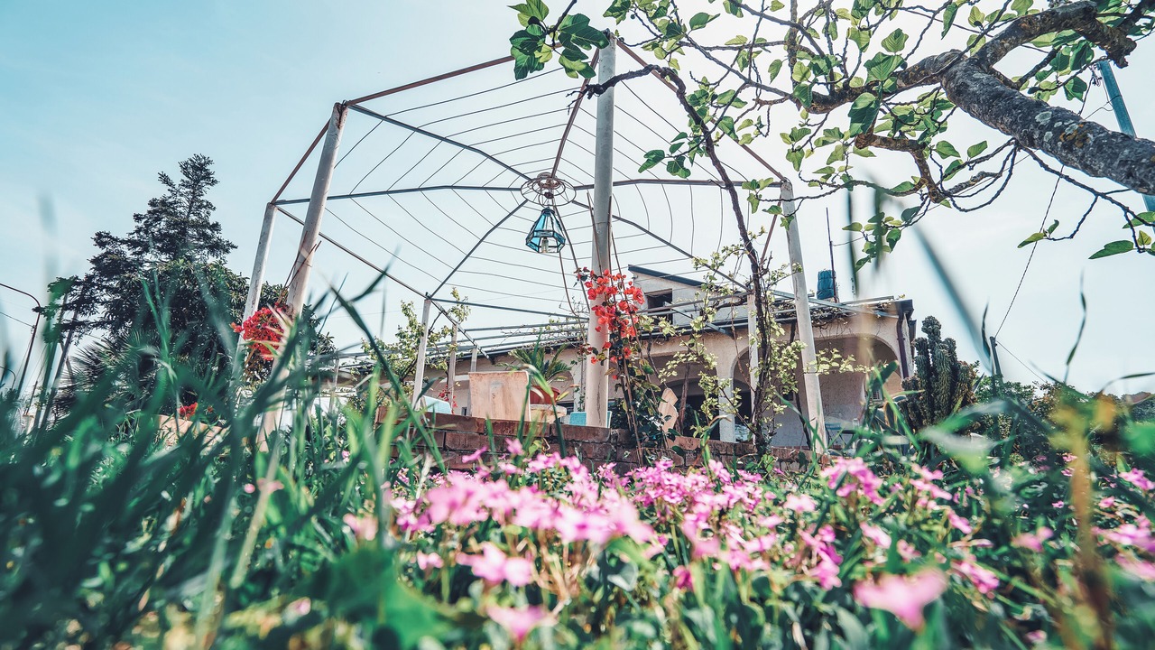 Photo of Outdoor in Ascea